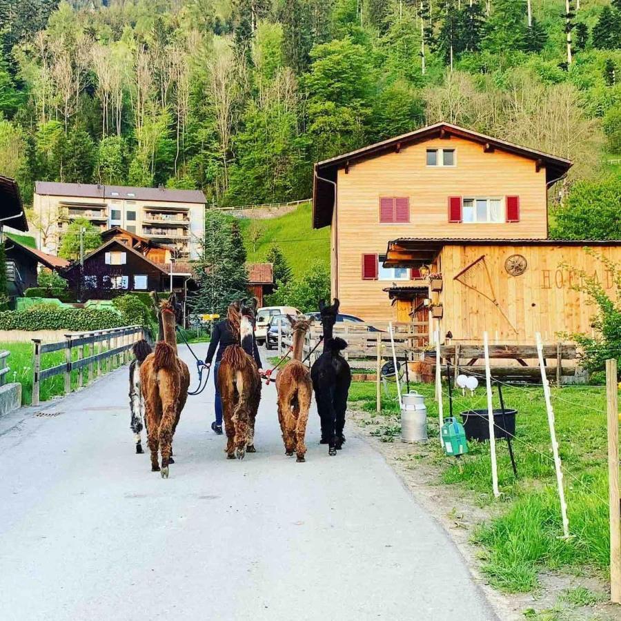 Jurte Beim Lama- & Alpakahof Triesenberg Hotell Eksteriør bilde