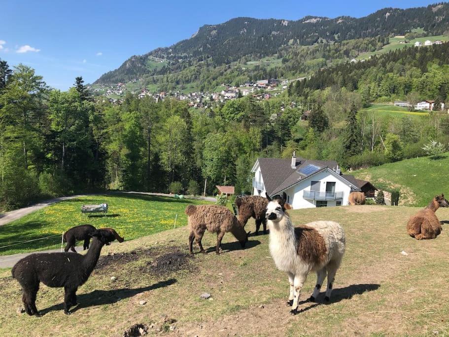 Jurte Beim Lama- & Alpakahof Triesenberg Hotell Eksteriør bilde